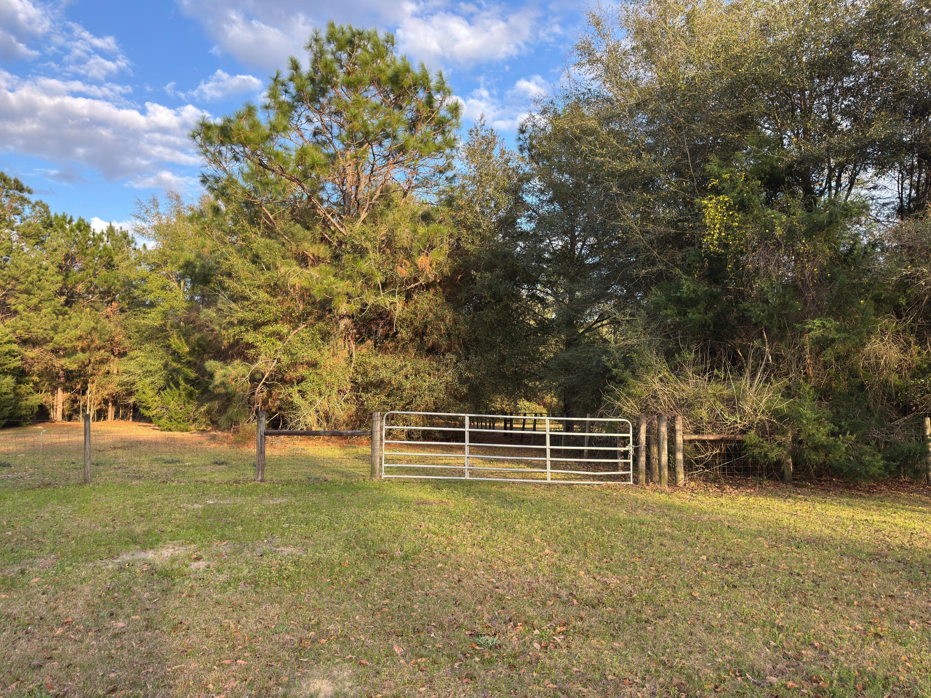 3955 Highway 77 Chipley, FL 32428 - Photo 52 of 54 Pasture fenced and cross-fenced