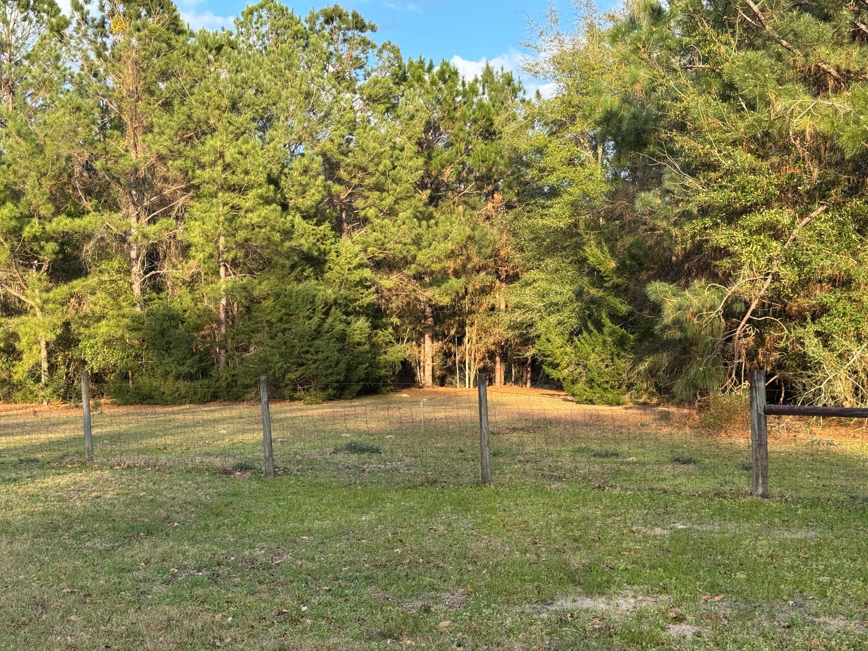 3955 Highway 77 Chipley, FL 32428 - Photo 53 of 54 Pasture fenced and cross-fenced