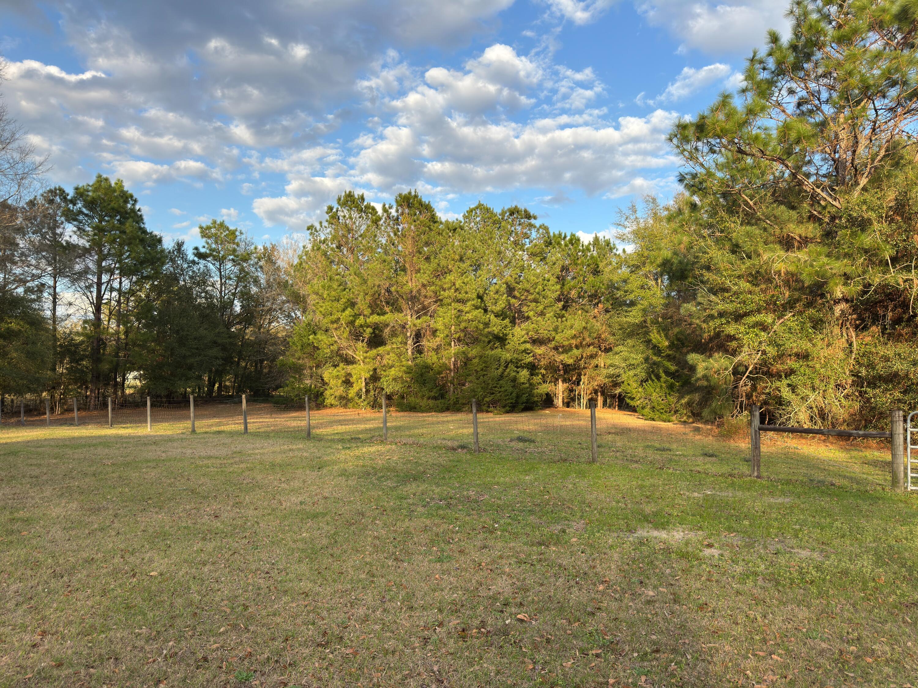 3955 Highway 77 Chipley, FL 32428 - Photo 54 of 54 Pasture fenced and cross-fenced