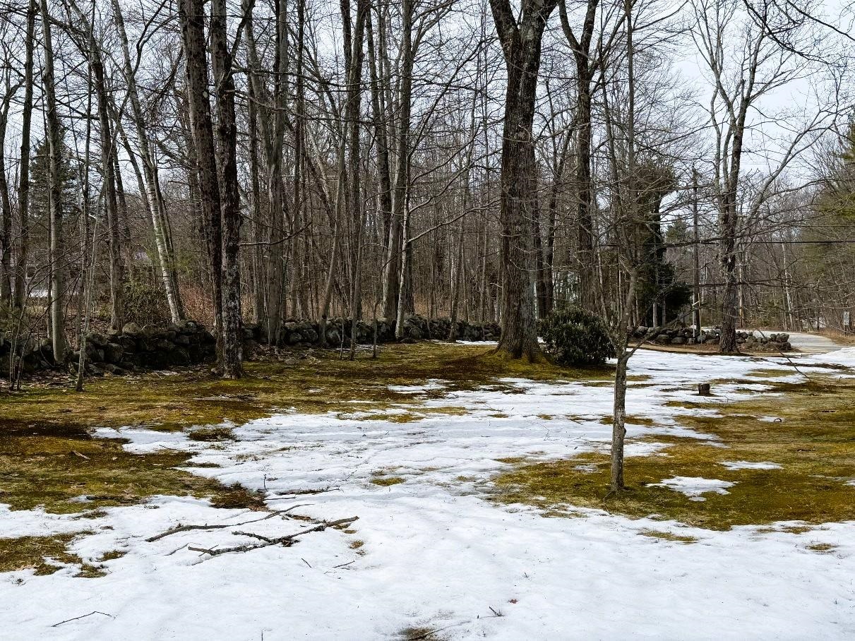 59 White Rock Hill Road Bow, NH 03304 - Photo 24 of 30