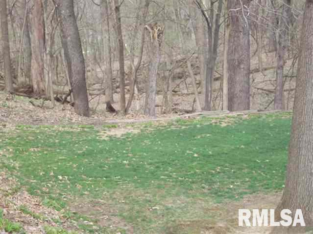 1822 Lincoln Road Bettendorf, IA 52722 - Photo 17 of 17 Gallery Image 17
