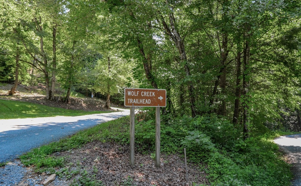 5 Wolf Creek Road Del Rio, TN 37727 - Photo 3 of 40 Gallery Image 3