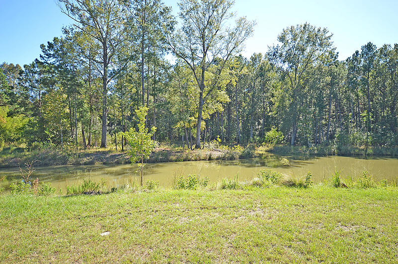 441 Woodspring Road Mount Pleasant, SC 29466 - Photo 9 of 39 DSC_0686-copy