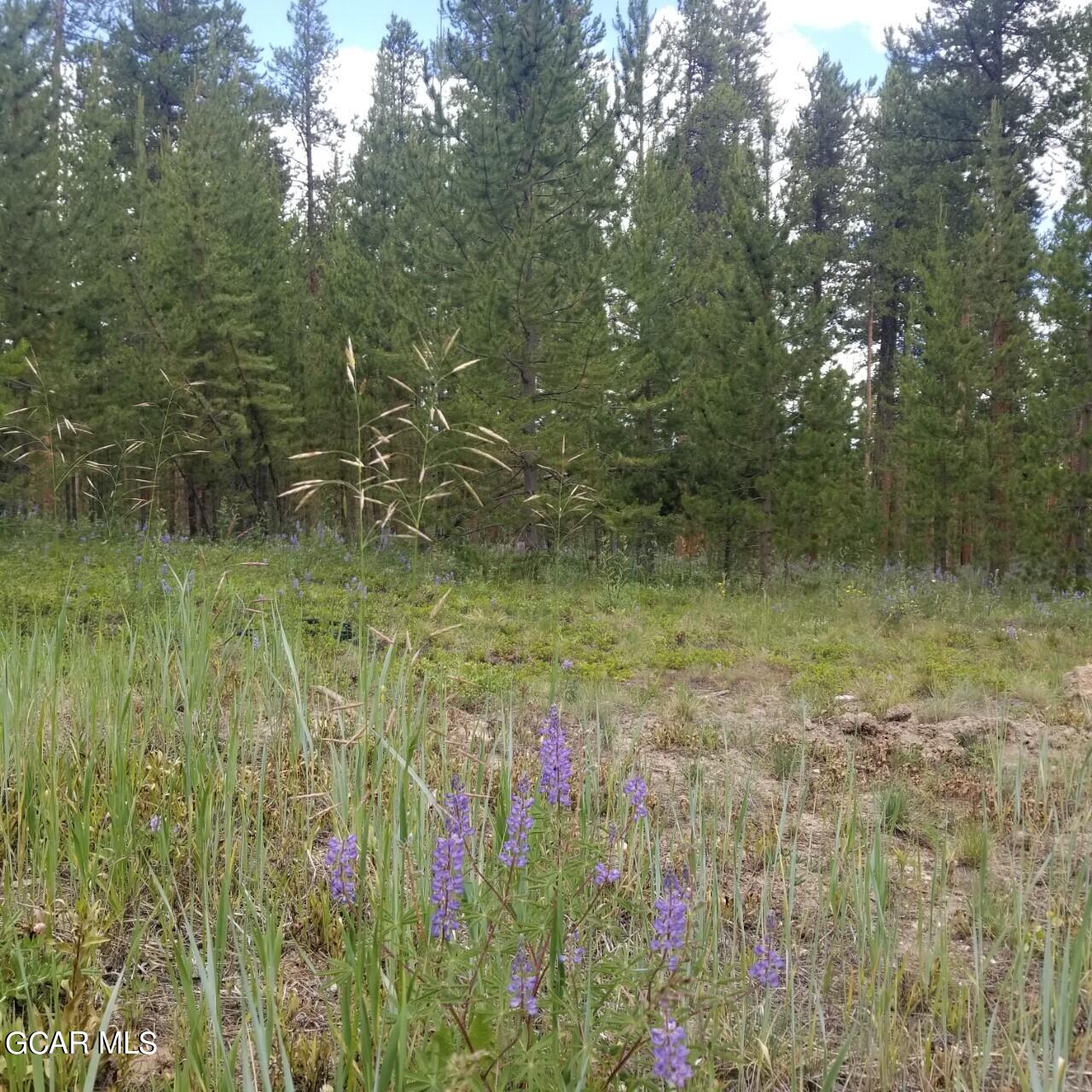 245 Gcr 511 Road Tabernash, CO 80478 - Photo 3 of 6 a view of a garden
