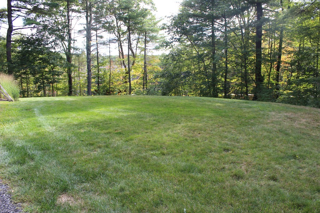 61 Turkey Hill Road Rutland, MA 01543 - Photo 4 of 30 a view of outdoor space with trees all around
