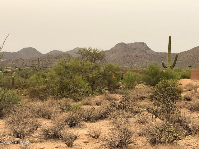 6481 West Ina Road, Unit 4 Tucson, AZ 85743 - Photo 3 of 14