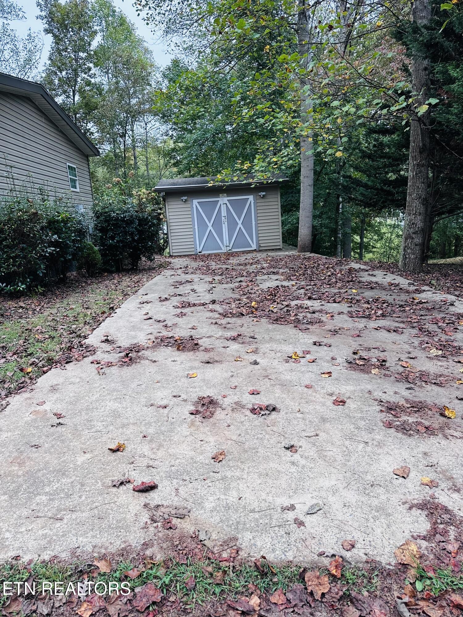 206 Randall Fugate Road Spring City, TN 37381 - Photo 5 of 28