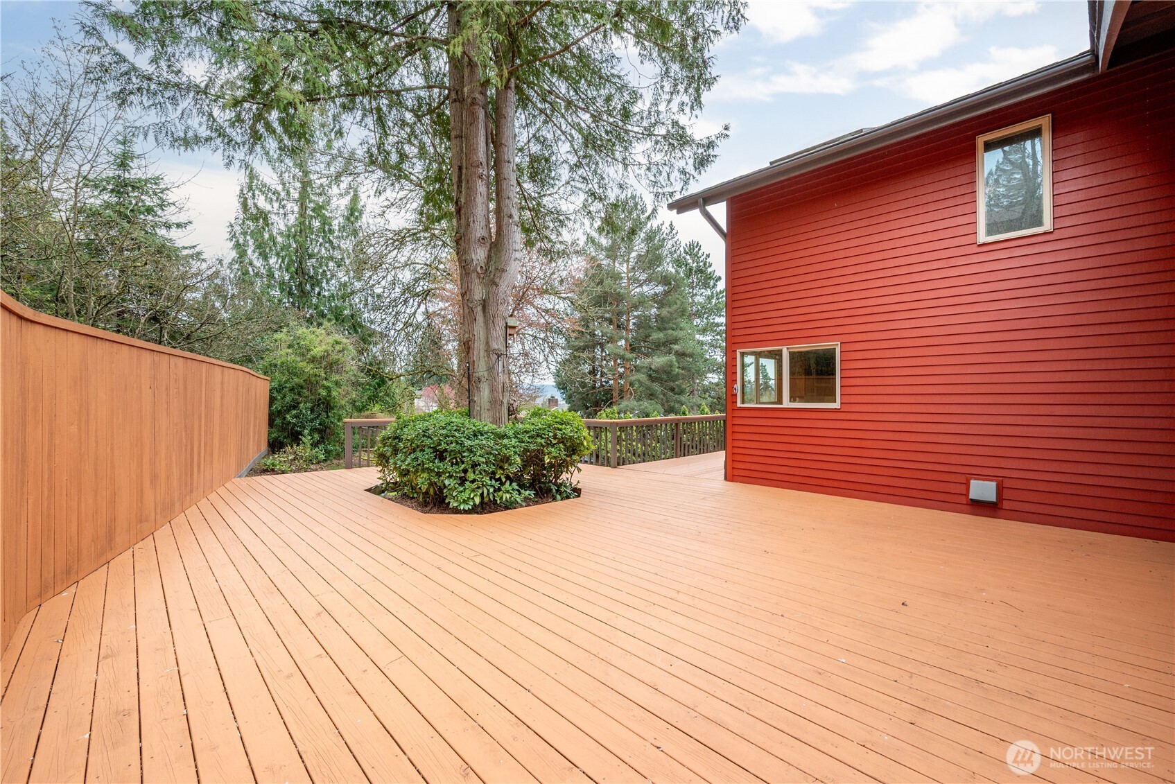 12 City View Boulevard Longview, WA 98632 - Photo 36 of 40 a view of backyard with plants and large trees