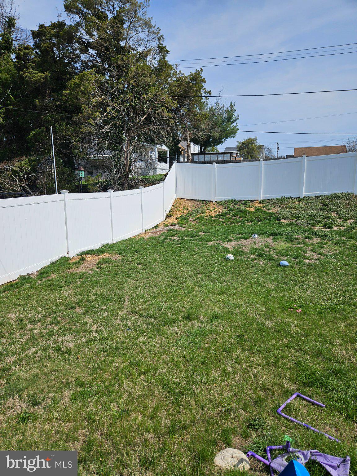 4005 3rd Street Baltimore, MD 21225 - Photo 4 of 7 Spacious yard with serene greenery.
