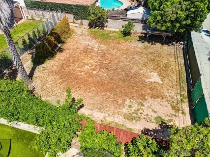 a view of a yard with plants and large trees