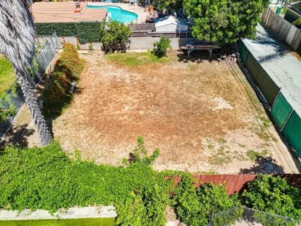 a view of a yard with plants
