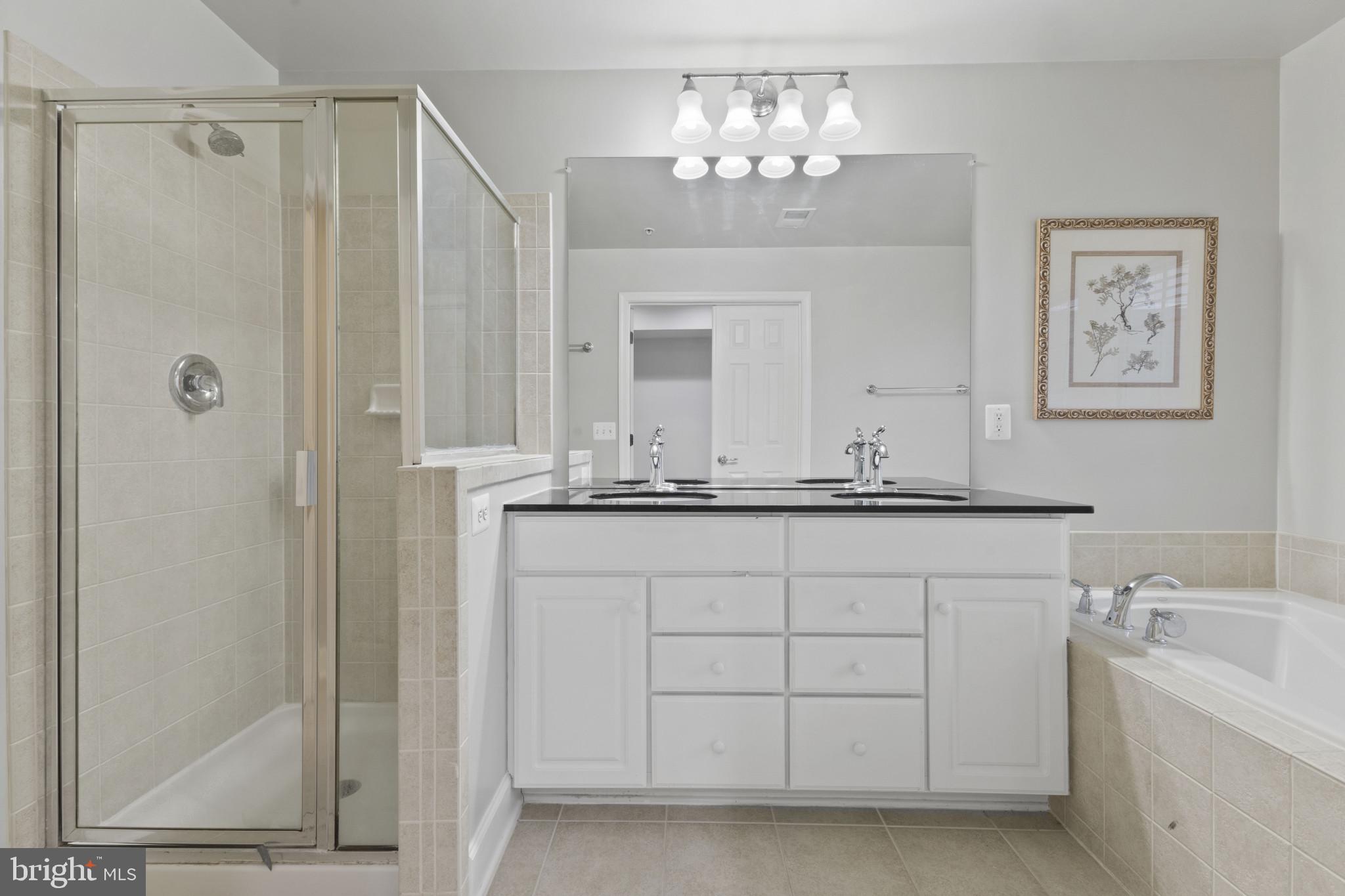 573 Dandelion Terrace Southeast Leesburg, VA 20175 - Photo 18 of 31 a bathroom with a sink and a mirror