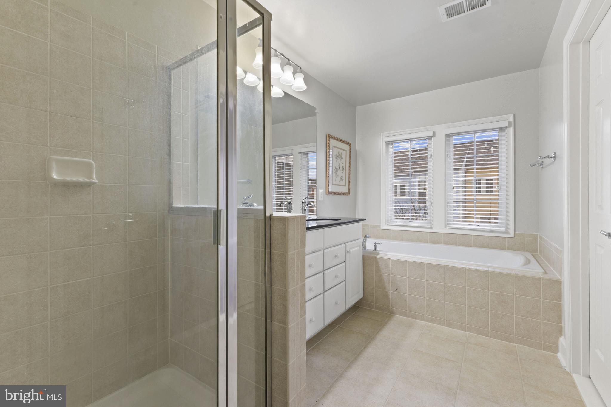573 Dandelion Terrace Southeast Leesburg, VA 20175 - Photo 19 of 31 a bathroom with a granite countertop sink a bathtub and shower
