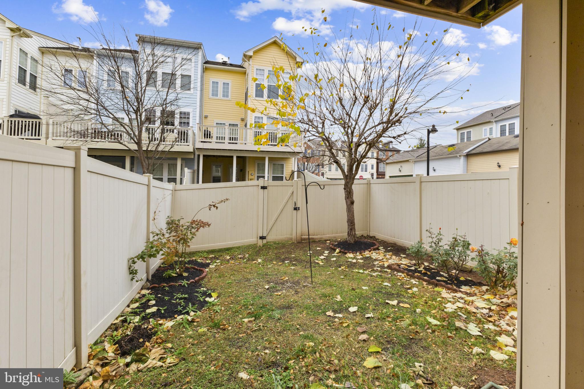 573 Dandelion Terrace Southeast Leesburg, VA 20175 - Photo 29 of 31 a front view of a house with a yard
