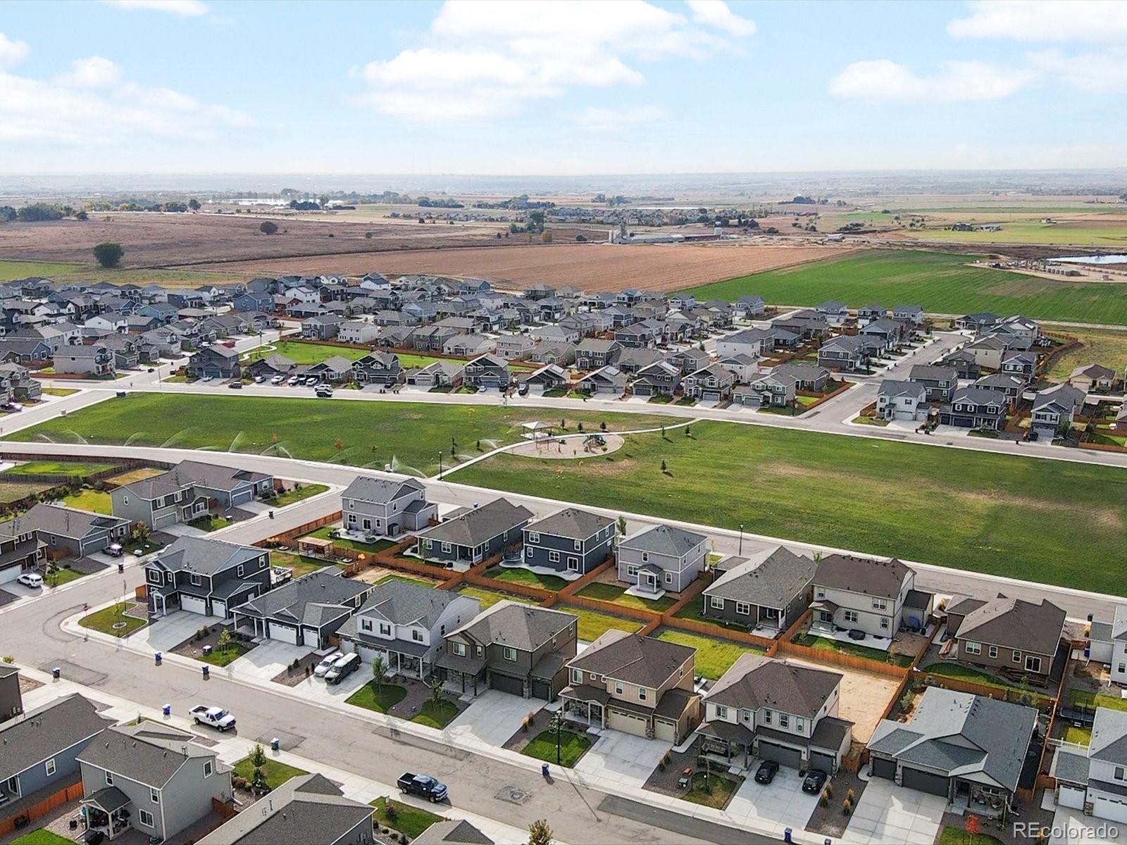 2084 Chianina Street Mead, CO 80542 - Photo 21 of 39