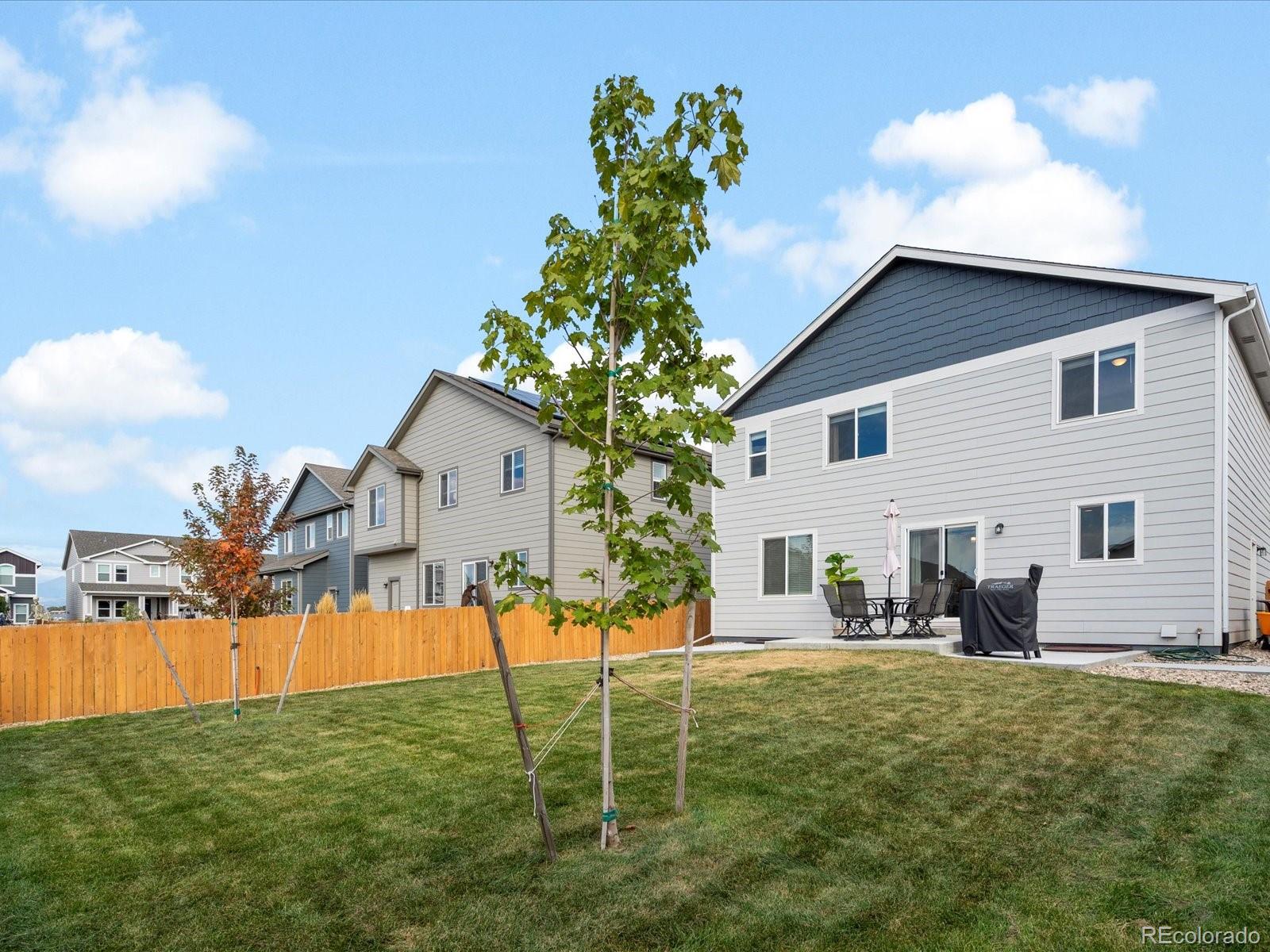 2084 Chianina Street Mead, CO 80542 - Photo 37 of 39