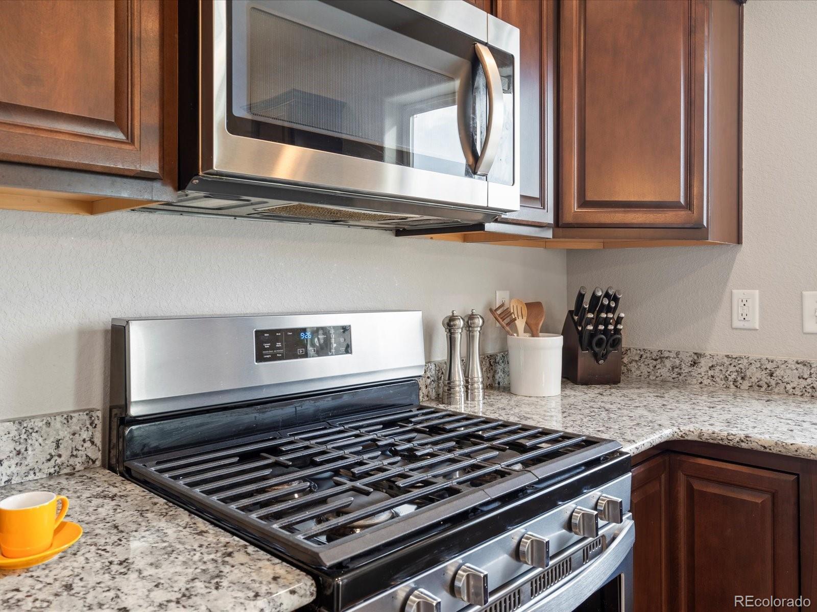 2084 Chianina Street Mead, CO 80542 - Photo 4 of 39