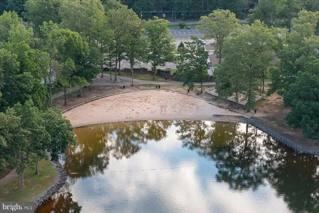 a view of a park with large trees