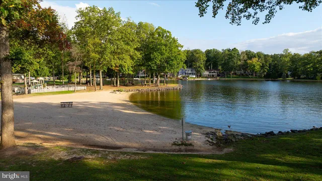 a view of a yard with swimming pool and trees in the background