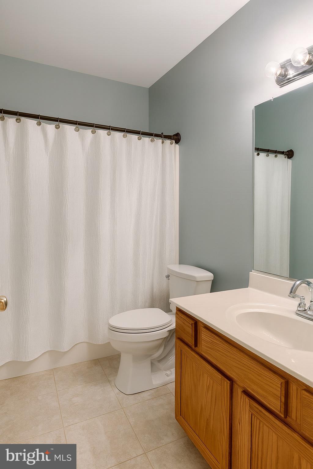 305 Wakefield Drive Locust Grove, VA 22508 - Photo 10 of 54 a bathroom with a sink a toilet and shower