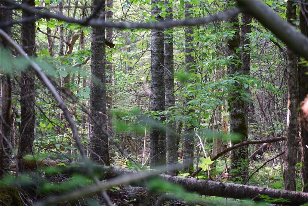 On Oliver Hill Road Garland, ME 04939 - Photo 21 of 28 Photo