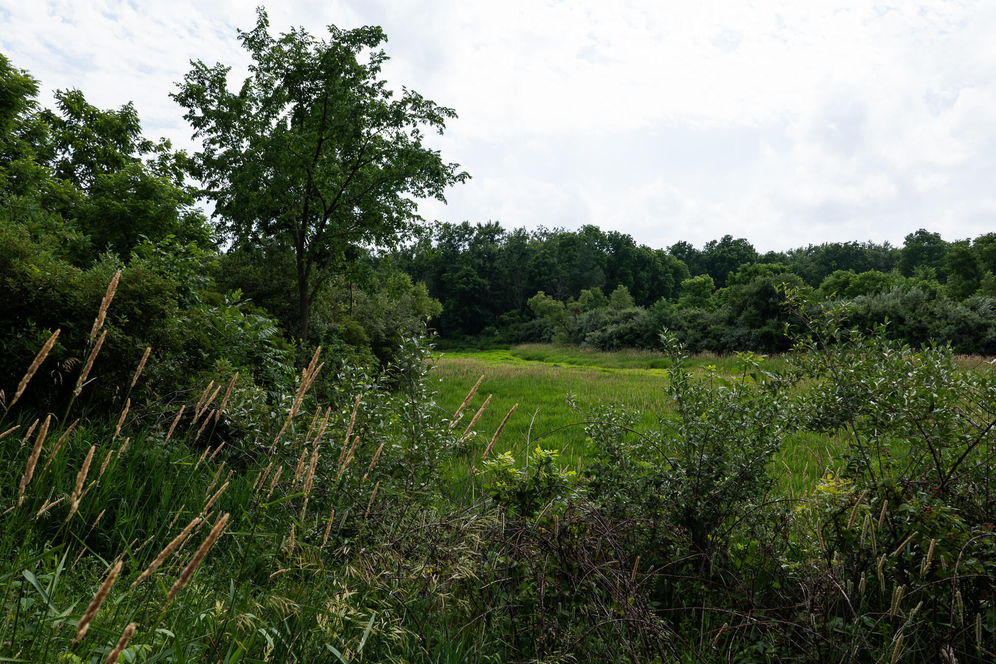 3282 Jerome Road North North Adams, MI 49262 - Photo 11 of 34 P1067843