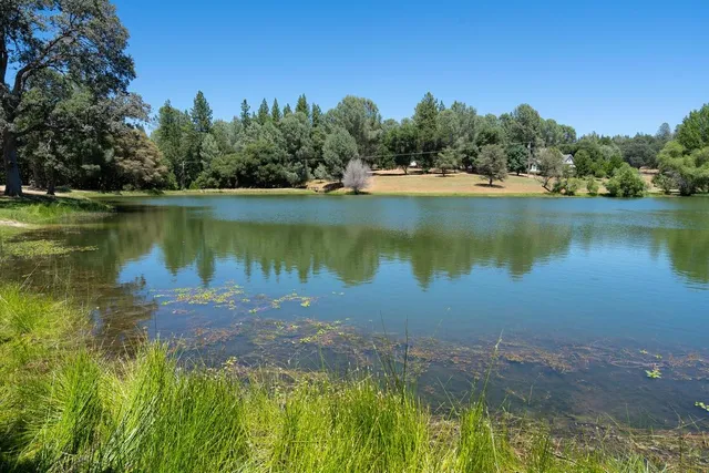 a view of a lake with a yard and large trees