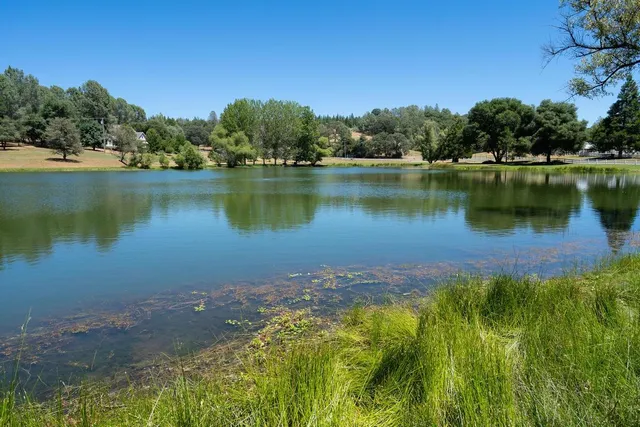 a view of lake with green space