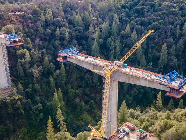 a view of a forest with a mountain
