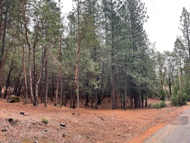a view of outdoor space with trees