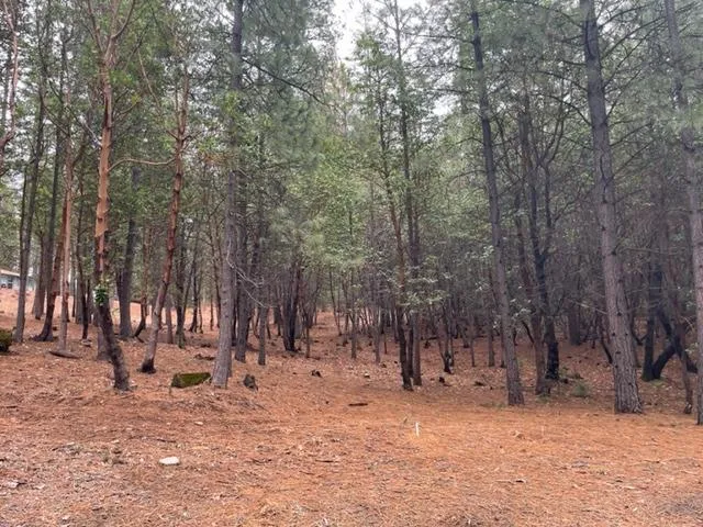 a view of outdoor space with trees