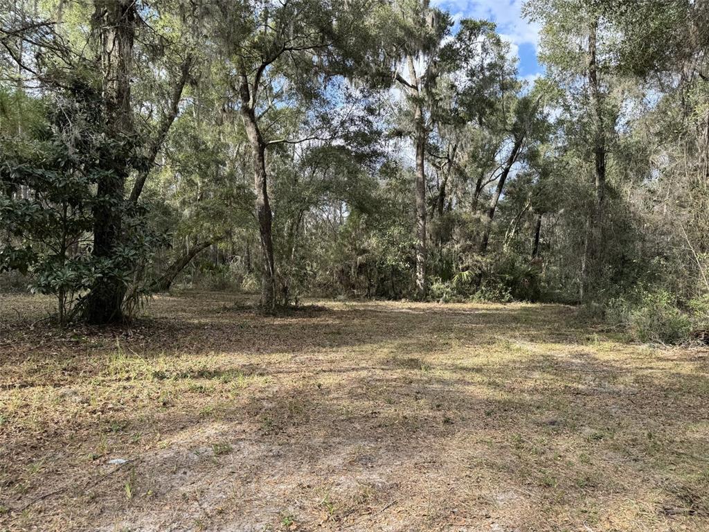 22422 Northwest 91st Court Road Micanopy, FL 32667 - Photo 1 of 1 Gallery Image 1