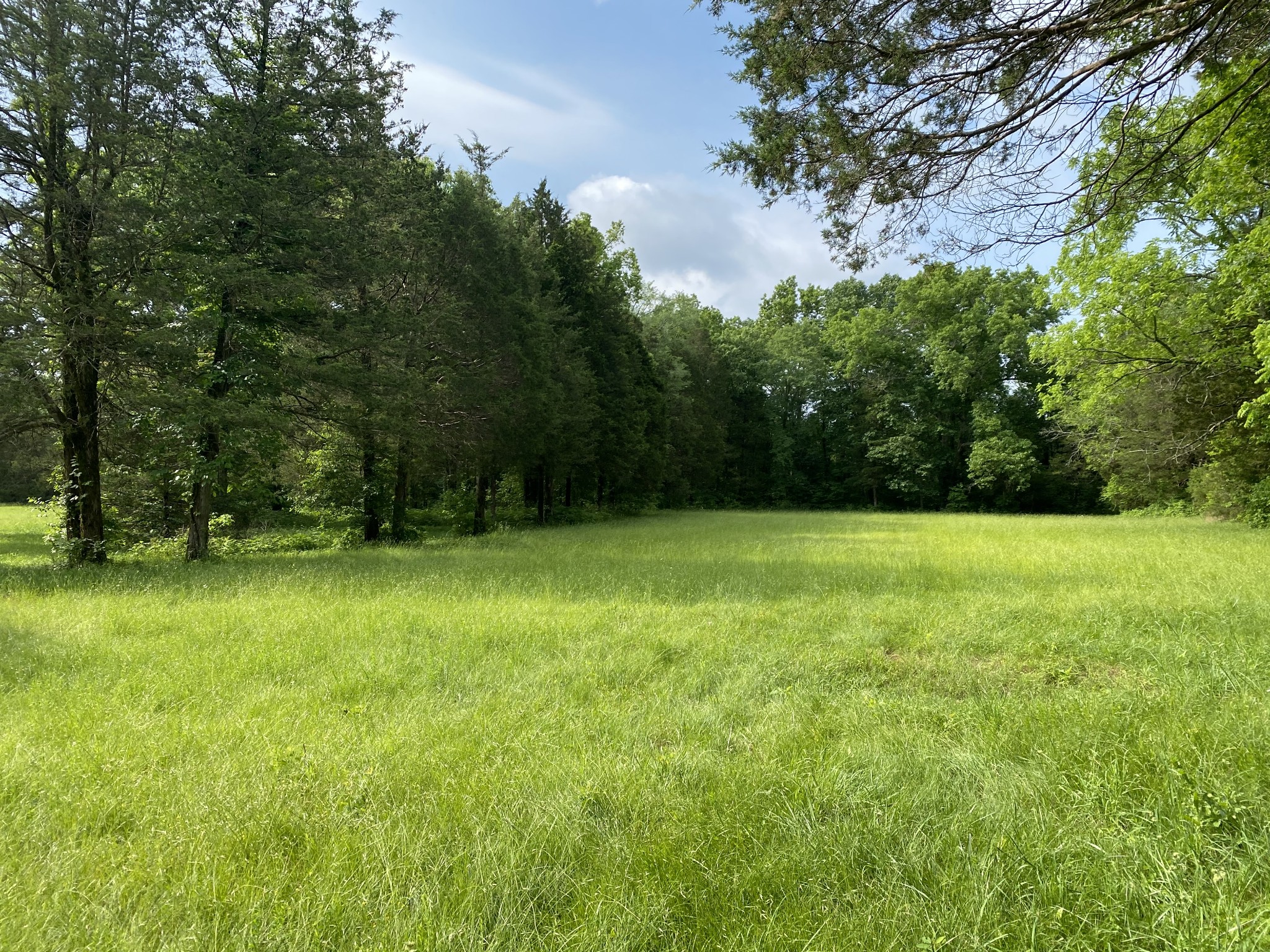 15 Hill Road Eagleville, TN 37060 - Photo 2 of 3 Gallery Image 2