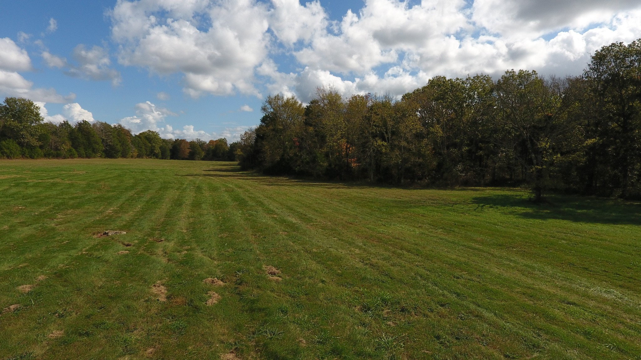 15 Hill Road Eagleville, TN 37060 - Photo 3 of 3 Gallery Image 3