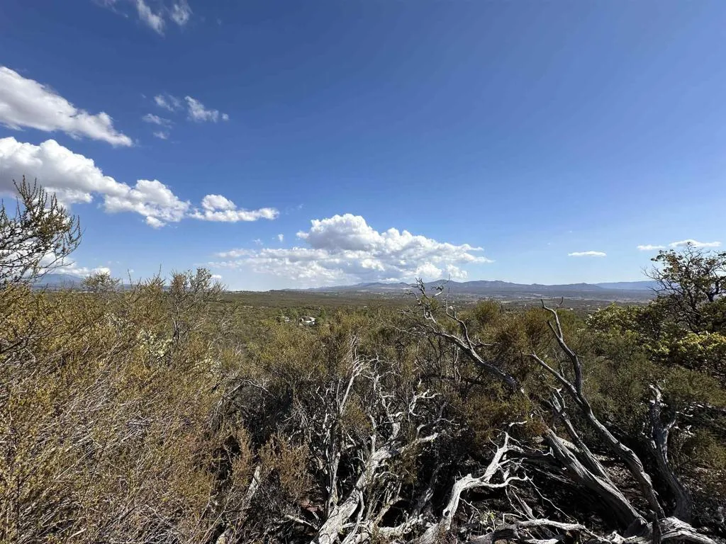 0 Saddleback Road Anza, CA 92539 - Photo 14 of 18 Gallery Image 14