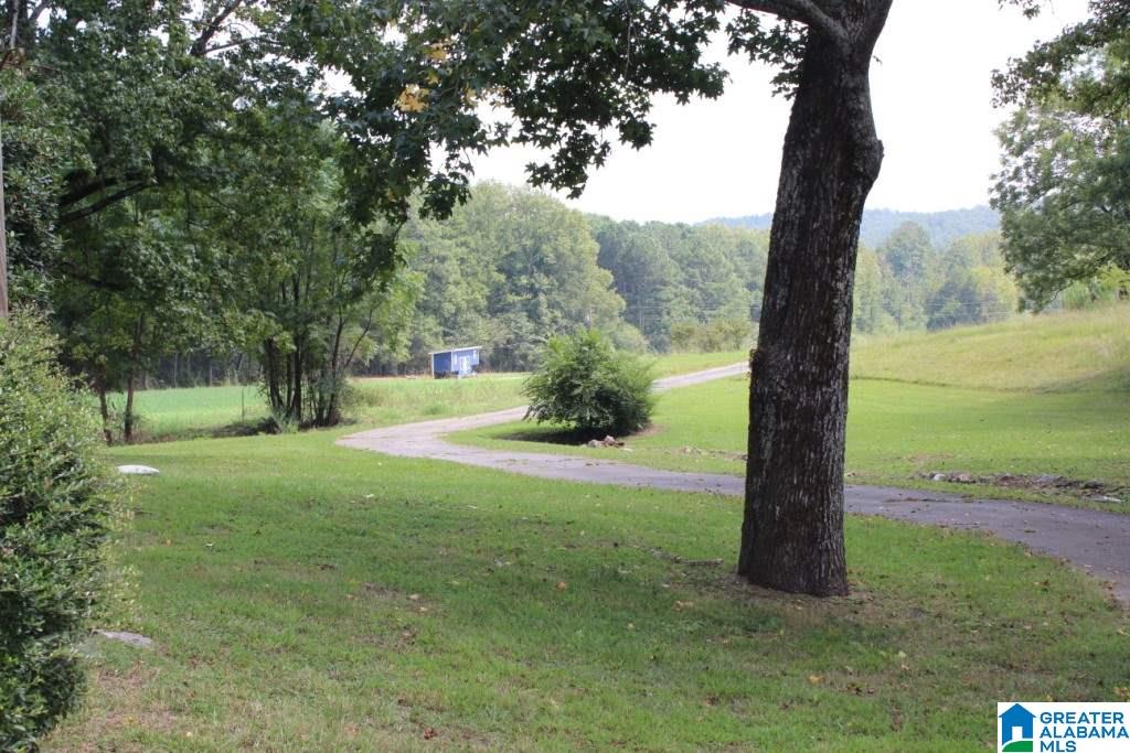 3201 Crawford Cove Road Springville, AL 35146 - Photo 17 of 40