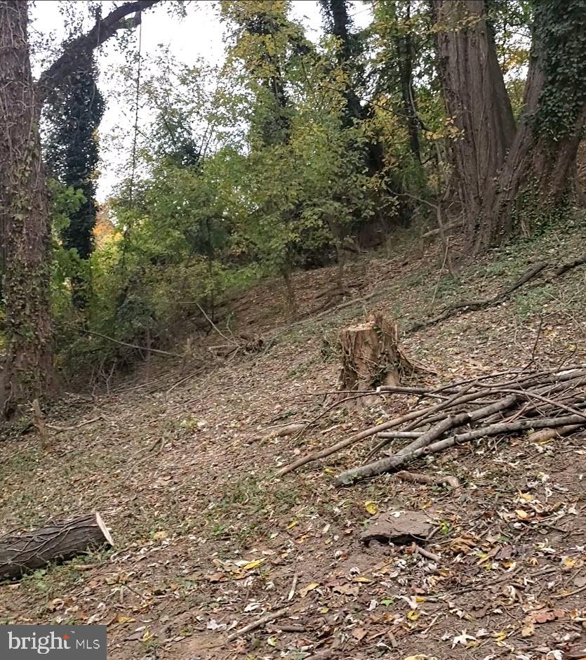 East D Street Brunswick, MD 21716 - Photo 2 of 4