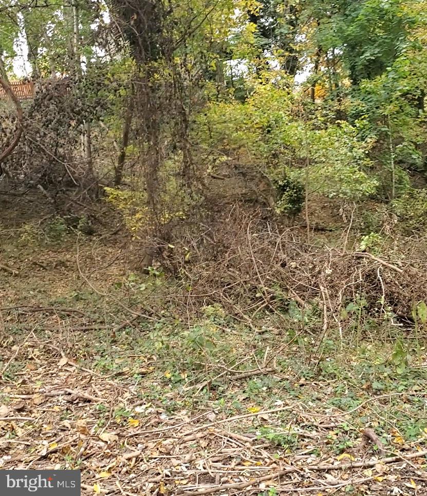 East D Street Brunswick, MD 21716 - Photo 3 of 4