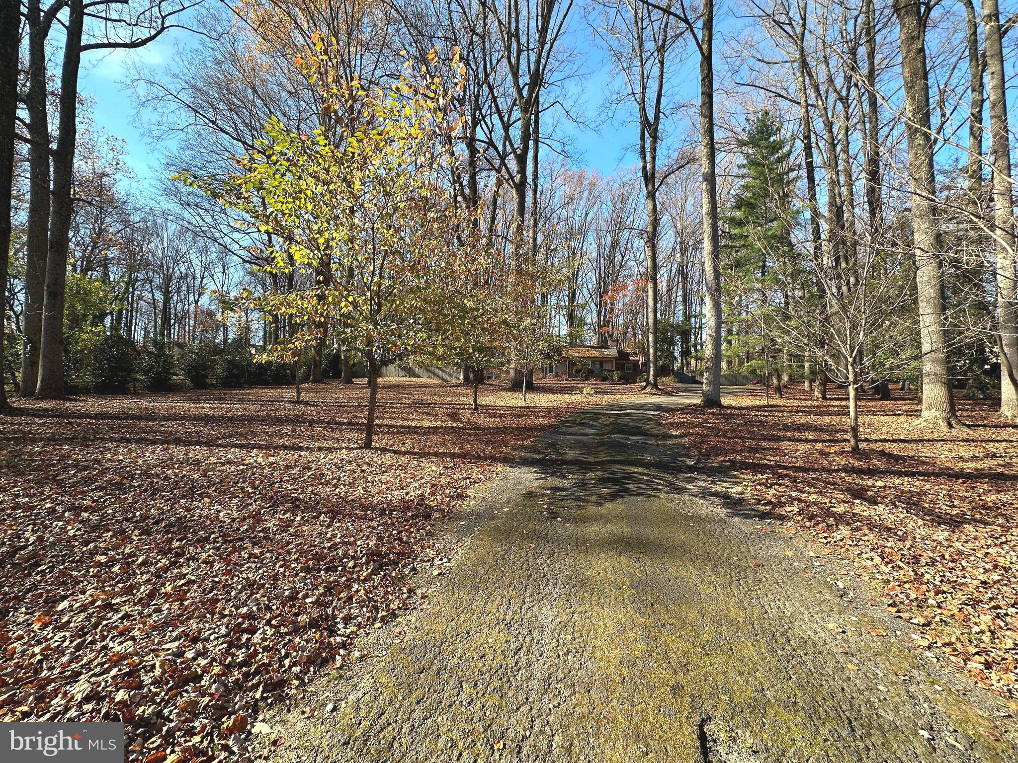 1328 Balls Hill Road McLean, VA 22101 - Photo 1 of 11