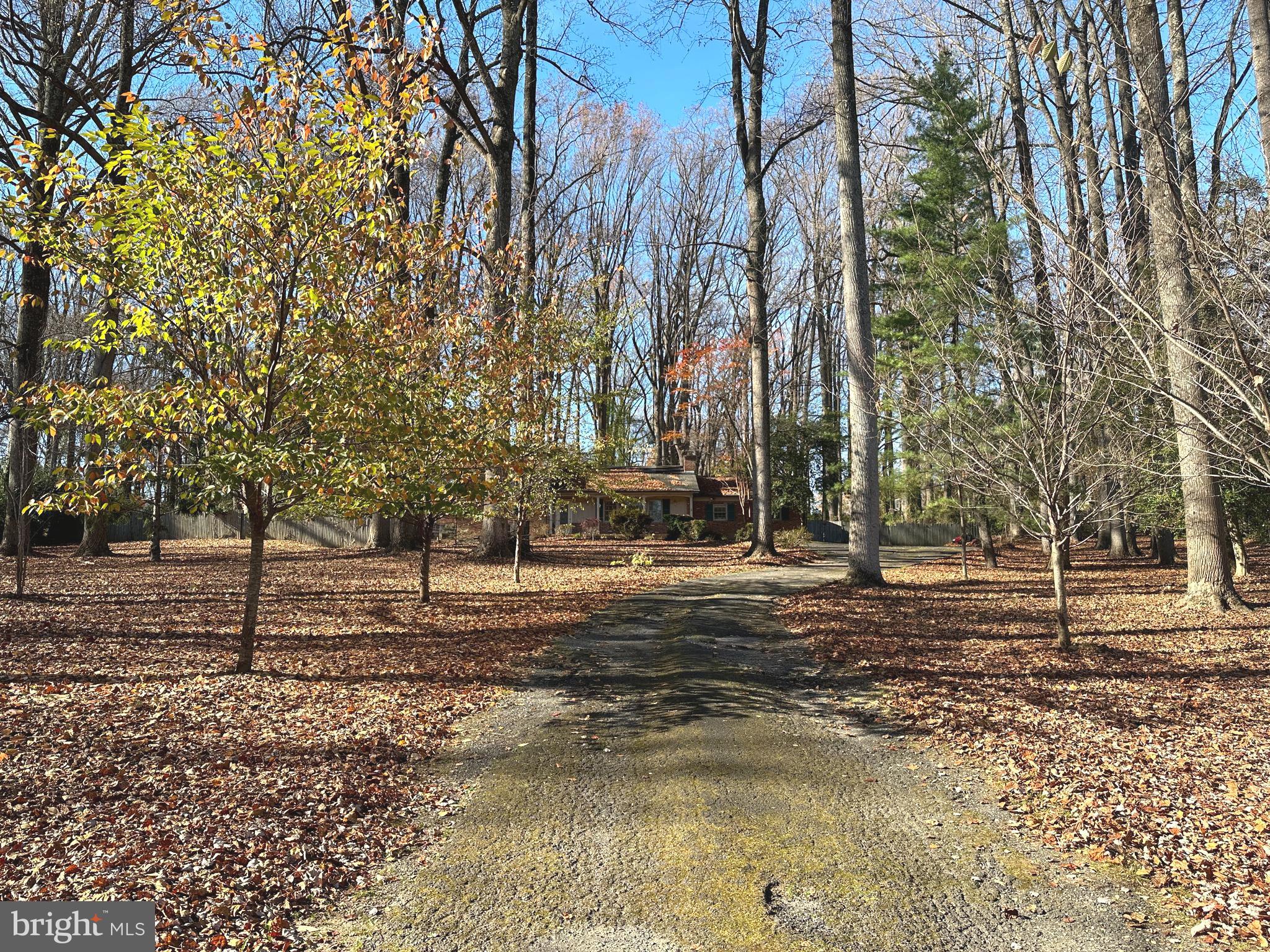 1328 Balls Hill Road McLean, VA 22101 - Photo 3 of 11