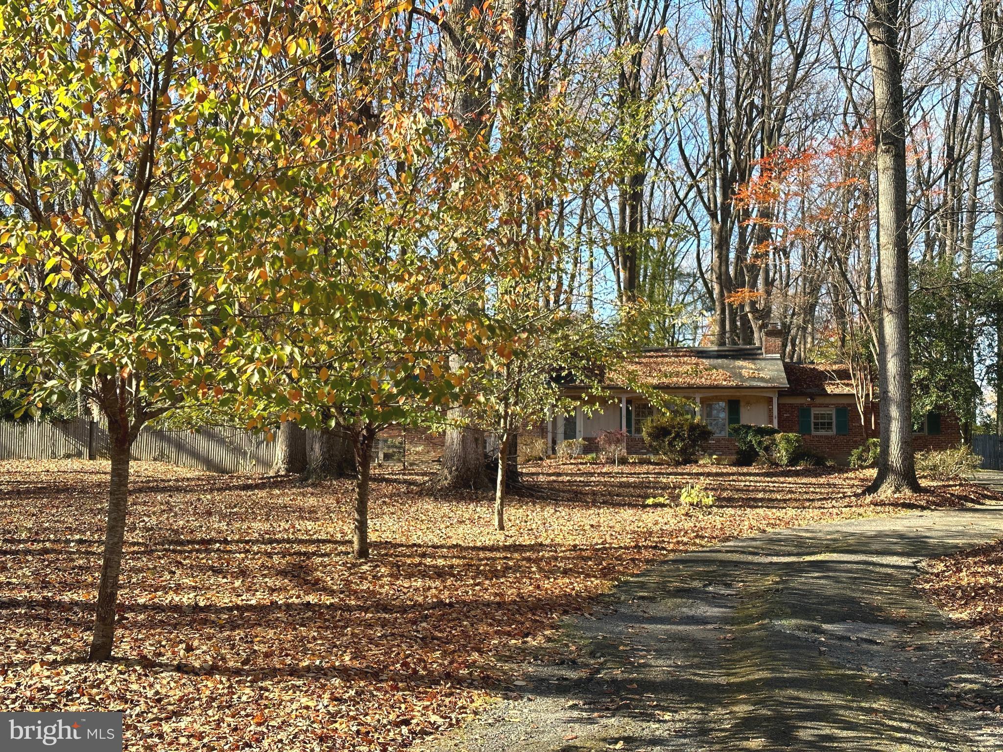 1328 Balls Hill Road McLean, VA 22101 - Photo 4 of 11