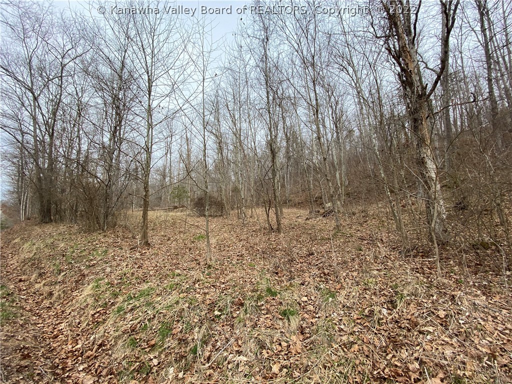 709 County Road 21/20 Ripley, WV 25271 - Photo 14 of 50 Gallery Image 14