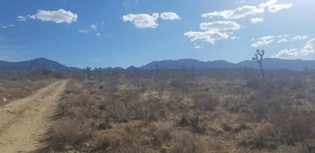 a view of a yard in a field