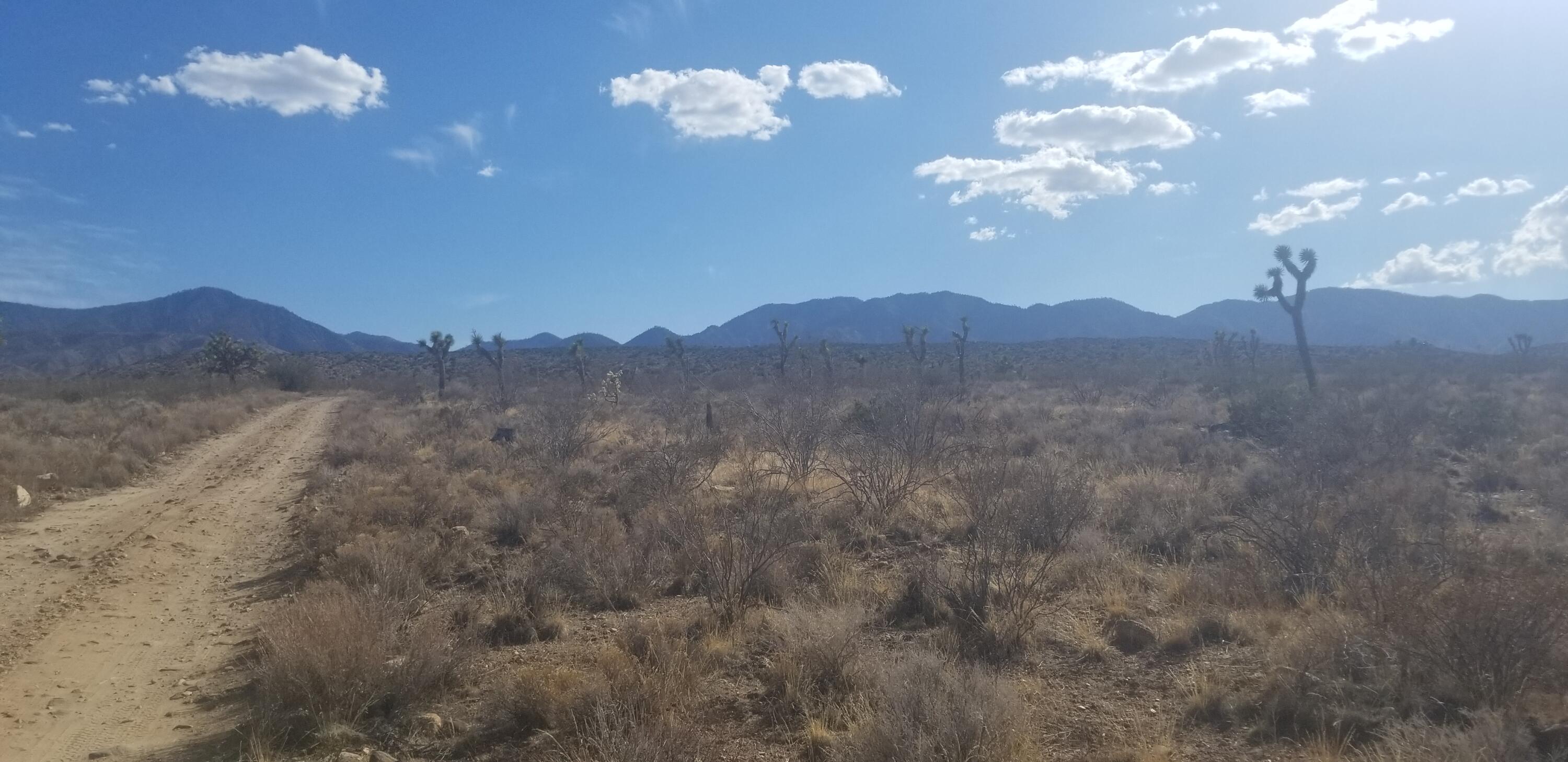 175th Street East Llano, CA 93544 - Photo 4 of 5 a view of a yard in a field