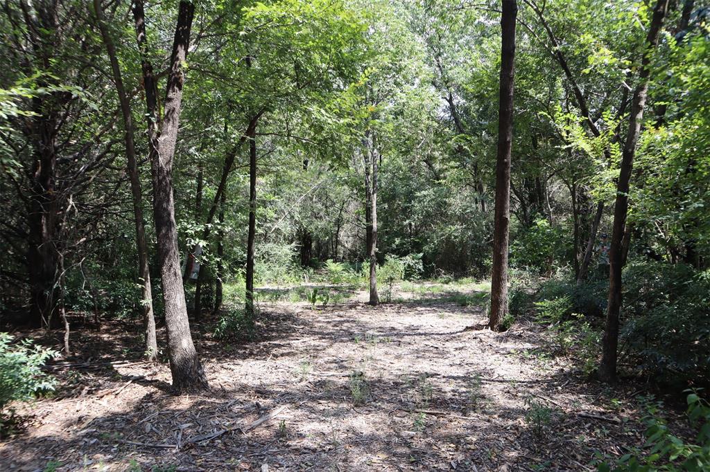Tbd 3rd Street Pottsboro, TX 75076 - Photo 23 of 31 a view of outdoor space with trees all around