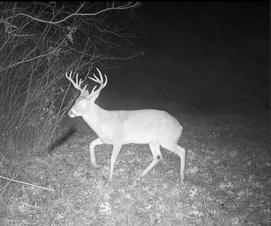 Tbd 3rd Street Pottsboro, TX 75076 - Photo 27 of 31 a view of entryway