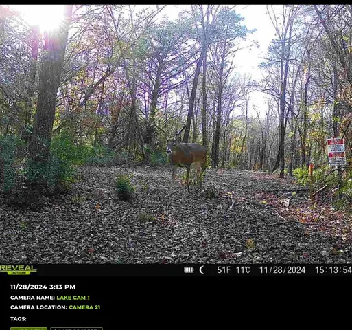 $1,250,000 | Tbd 3rd Street, Pottsboro, TX 75076