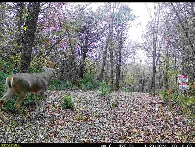 $1,250,000 | Tbd 3rd Street, Pottsboro, TX 75076