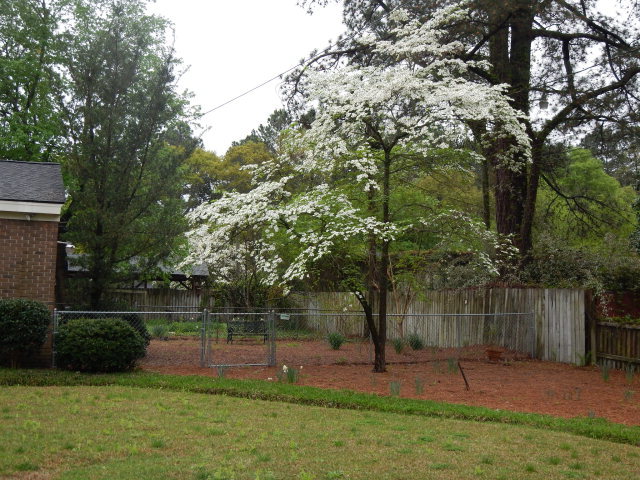 3405 Winstead Road Rocky Mount, NC 27804 - Photo 2 of 24 Additional Photo