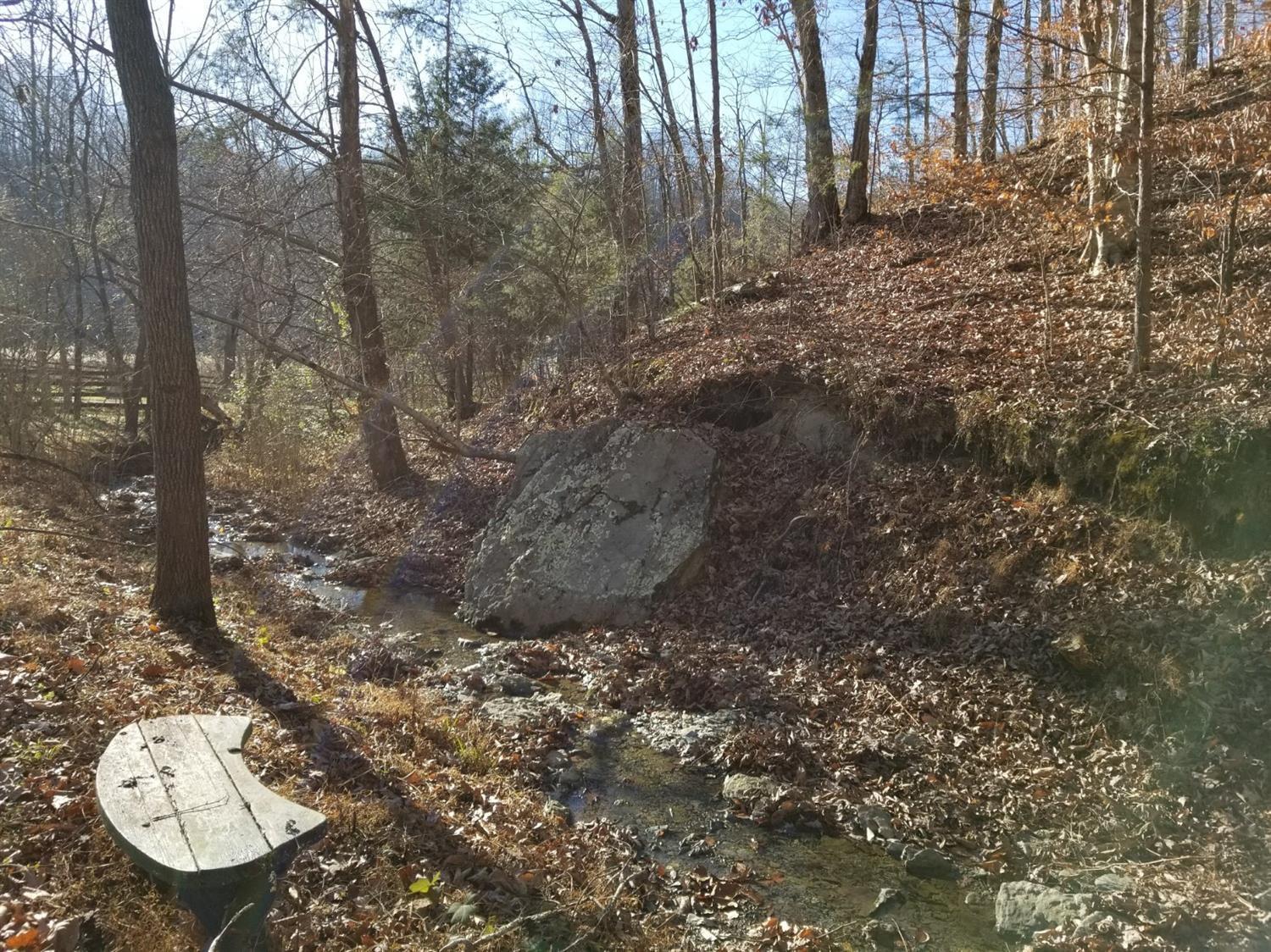 1670 Pointer Creek Road Science Hill, KY 42553 - Photo 30 of 41 28097_27